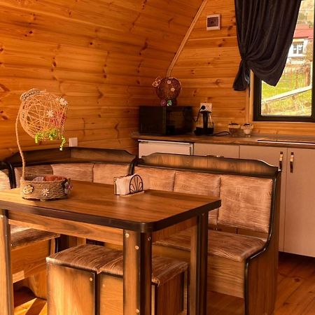 Vaso-Levani Kazbegi Cottage Stepantsminda Exterior foto